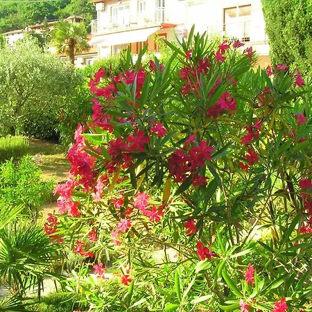 Amelia Apartment Moscenicka Draga